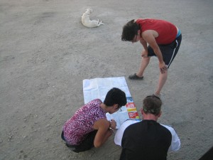 Earthcircuit mapreading
